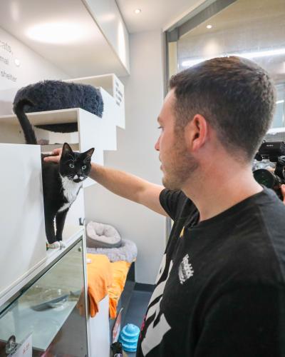Alex Bowman petting a black and white cat